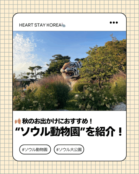 ブログのタイトル”秋のお出かけにおすすめ！ソウル動物園”と記載した画像。タイトル上にはトラのモニュメントの写真