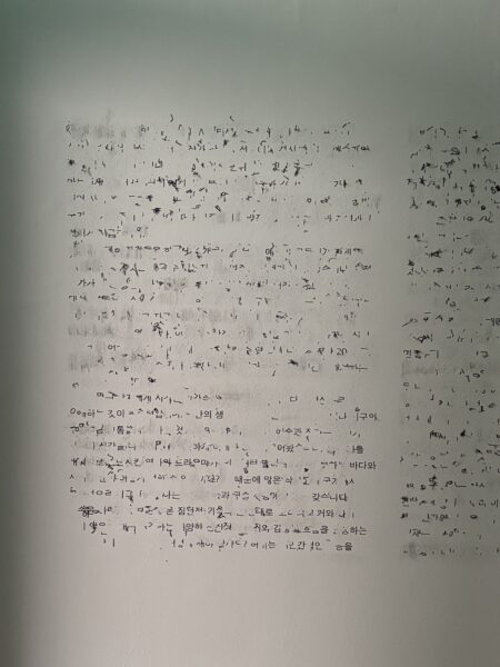 壁一面に断片化された文字や記号が薄く残るインスタレーション。消えかけた言語の痕跡が時間の経過と崩壊を想起させる。