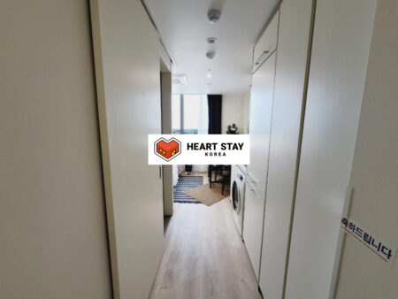 玄関から見たオフィステル室内、ビルトイン収納と洗濯機付きのすっきりした動線